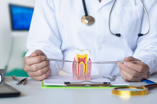 Best Emergency Treatment for Toothache in Feather Sound, FL
